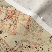 Rome map, antique - large FQ, tea towel