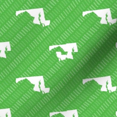 Maryland State Shape Pattern Lime Green and White Stripes