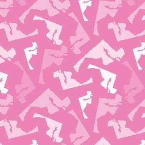 Maryland State Shape Pattern Pink and White