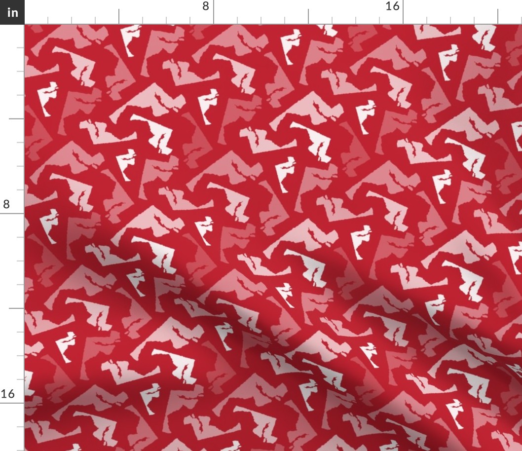 Maryland State Shape Pattern Red and White