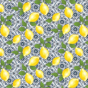moroccan lemons