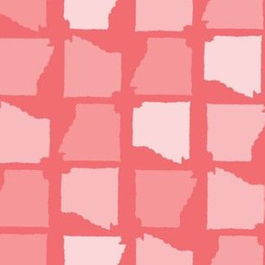 Arkansas State Shape Pattern Coral-01