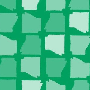 Arkansas State Shape Pattern Green-01