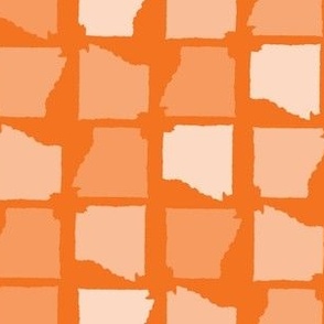 Arkansas State Shape Pattern Orange-01