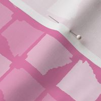 Arkansas State Shape Pattern Pink-01