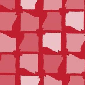 Arkansas State Shape Pattern Red-01