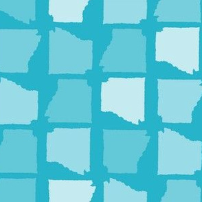 Arkansas State Shape Pattern Teal-01