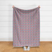 Wonky Plaid - Red, White and Blue Large