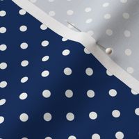 Prunella Dots - Blue White