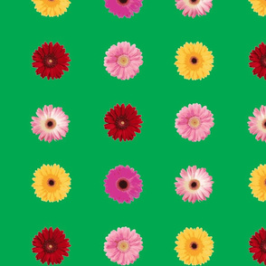 Daisy Art-70s Green