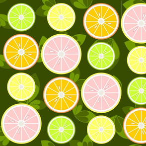 Sliced Citrus with Leaves