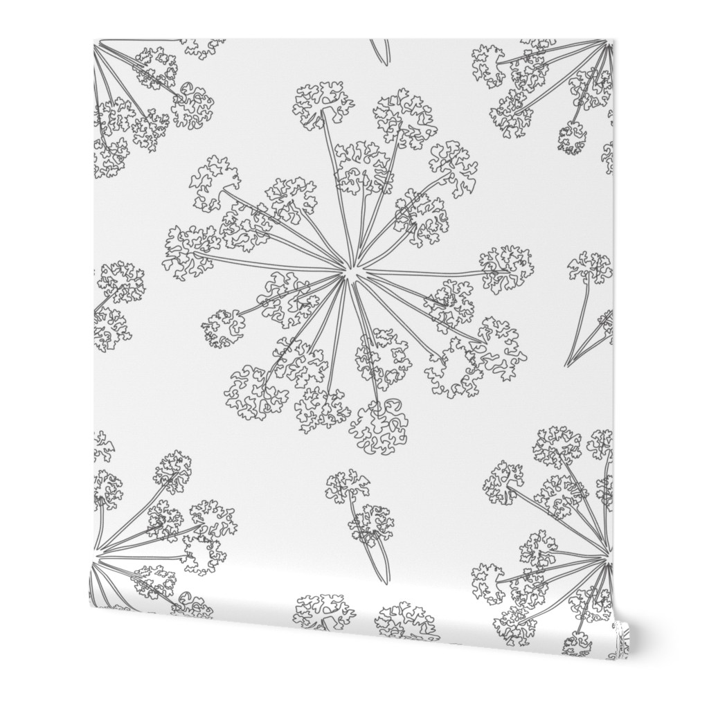 Floral Queen Anne's Lace Monochrome (jumbo)