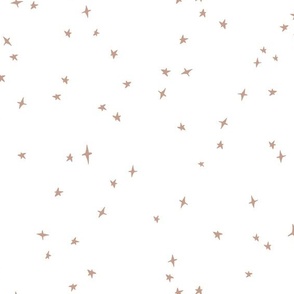 nutmeg scattered stars on white