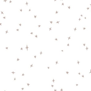 oyster scattered stars on white