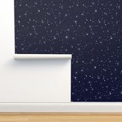 Simple Navy With Stars