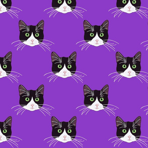 B&W CATS PURPLE