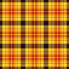 Autumn tartan,  6"