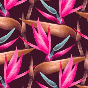 Bird of Paradise - Burgundy and Pink