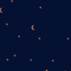 Dreamy night counting stars under the moon woodland camping trip  universe christmas winter navy blue rust