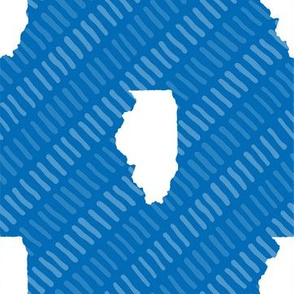 Illinois State Shape Pattern Blue and White Stripes