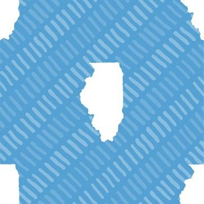 Illinois State Shape Pattern Light Blue and White