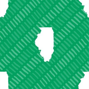 Illinois State Shape Pattern Green and White Stripes