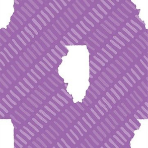 Illinois State Shape Pattern Purple and White Stripes