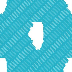 Illinois State Shape Pattern Teal and White Stripes