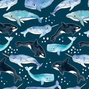 Whales, Orcas & Narwhals on Navy - Large Scale