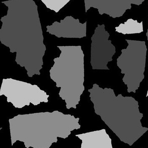 Illinois State Shape Pattern Black and White