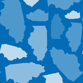 Illinois State Shape Pattern Blue and White