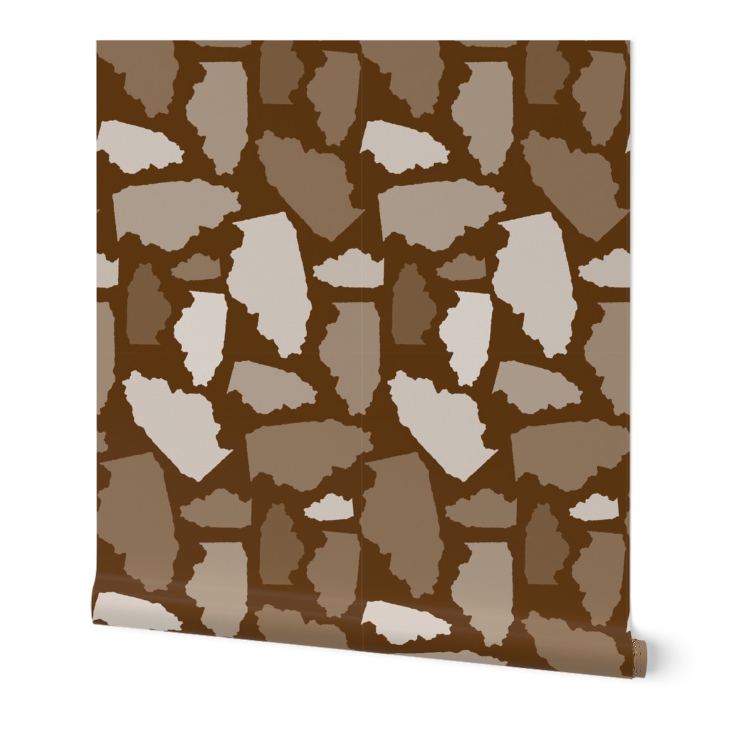 Illinois State Shape Pattern Brown and White