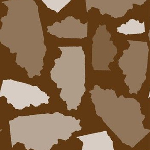 Illinois State Shape Pattern Brown and White