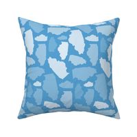 Illinois State Shape Pattern Light Blue and White