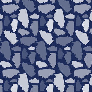 Illinois State Shape Pattern Dark Blue and White