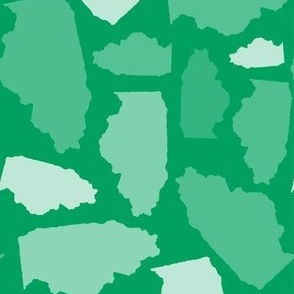 Illinois State Shape Pattern Green and White