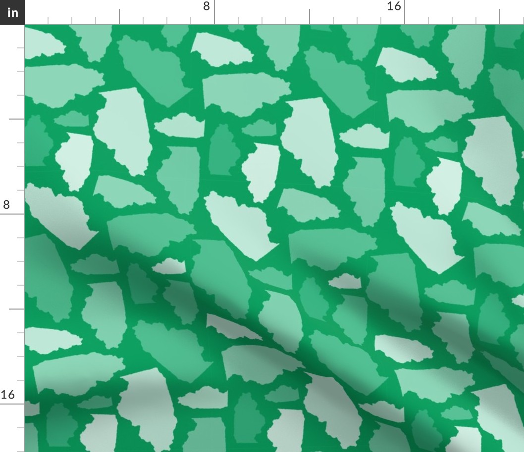 Illinois State Shape Pattern Green and White