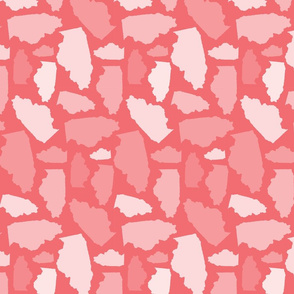 Illinois State Shape Pattern Coral and White