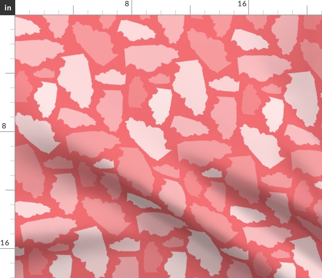 Illinois State Shape Pattern Coral and White
