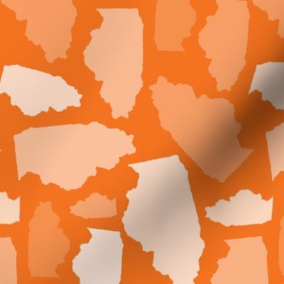 Illinois State Shape Pattern Orange and White