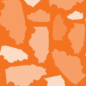 Illinois State Shape Pattern Orange and White