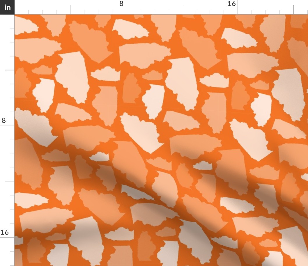 Illinois State Shape Pattern Orange and White