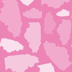 Illinois State Shape Pattern Pink and White