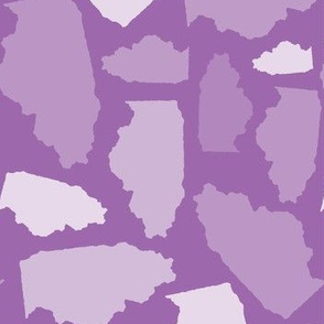 Illinois State Shape Pattern Purple and White