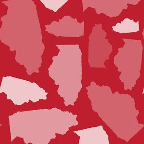 Illinois State Shape Pattern Red and White