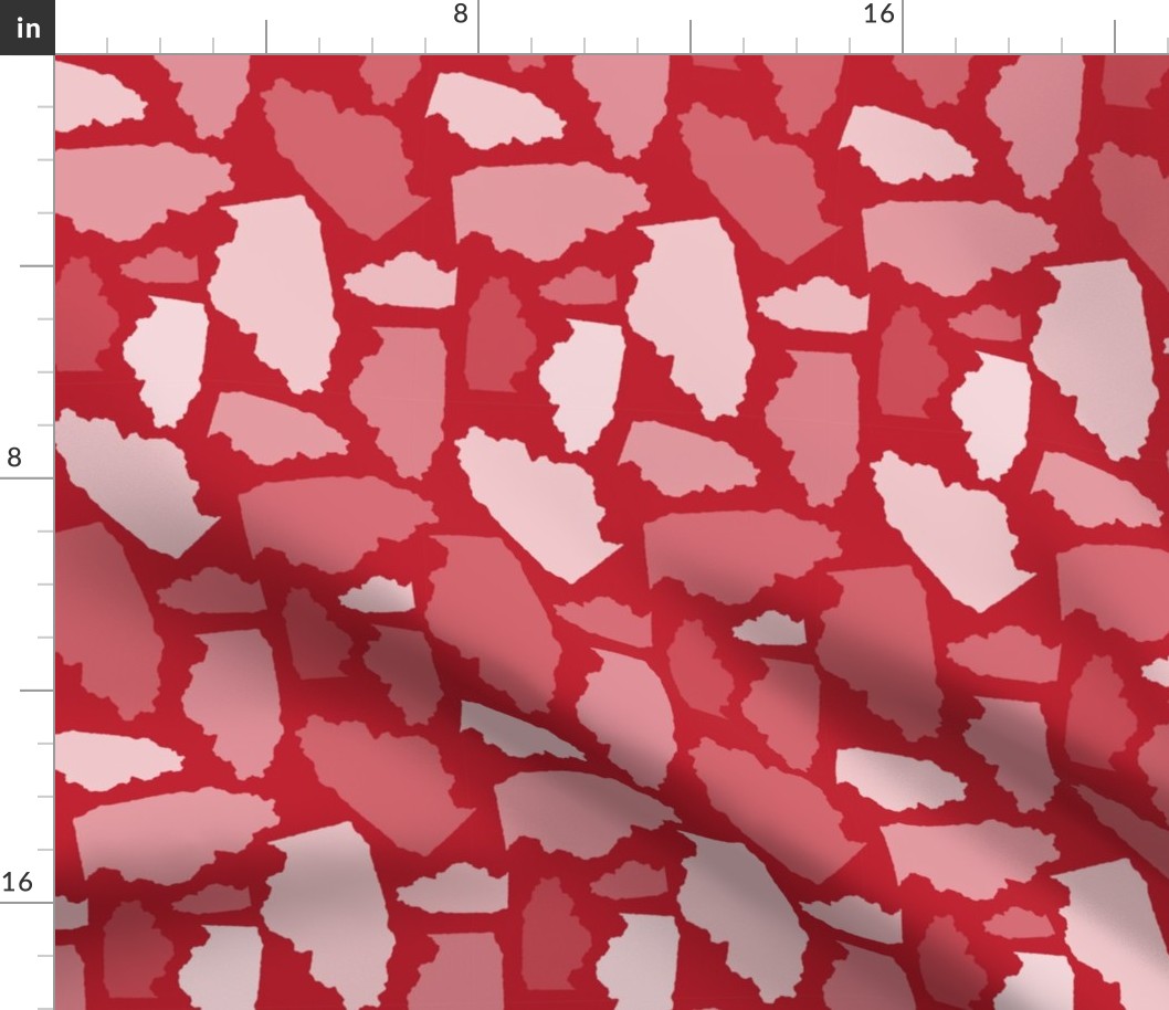 Illinois State Shape Pattern Red and White