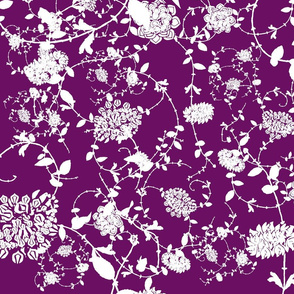 White Flowers on Purple