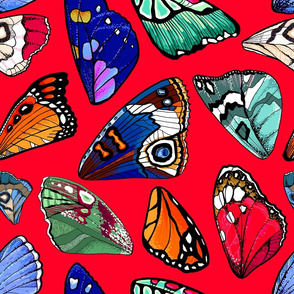 Butterfly wings red background