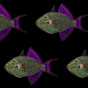 Niger Triggerfish in edges