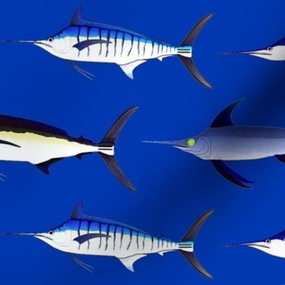 5 billfish on dark sea blue sized